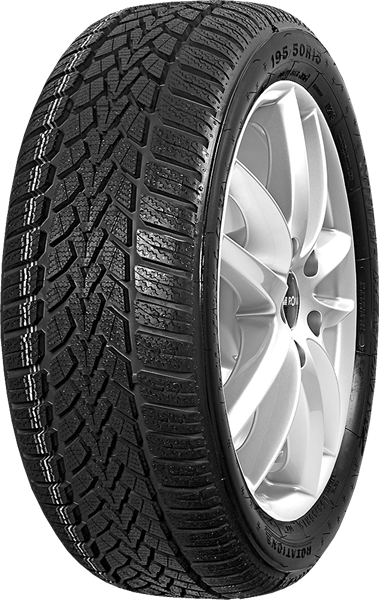 Dunlop SP Winter Response 2 195/65 R15 95 T XL