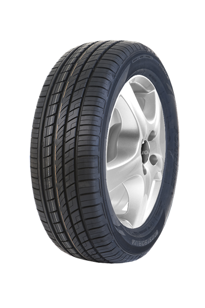 Fortune FSR303 245/45 R19 102 Y