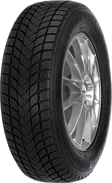 Mastersteel WINTER + 195/55 R15 85 H