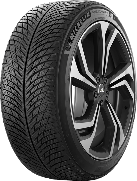 Michelin Pilot Alpin 5 SUV 255/45 R20 105 V XL, *