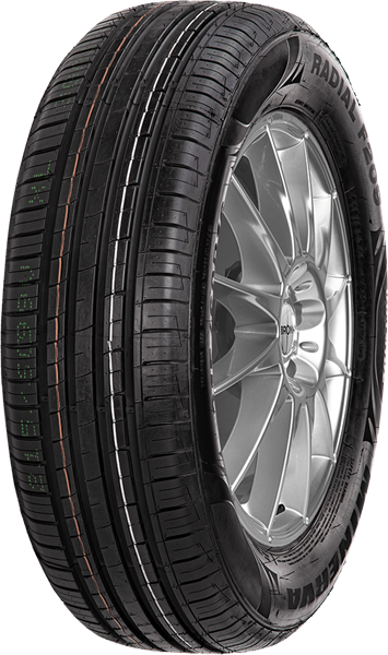 Minerva F209 225/60 R15 96 V