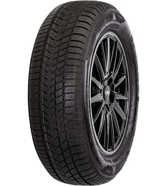 Sunny Wintermaxx NW211 255/35 R19 96 V XL