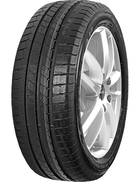 Goodyear EFFICIENTGRIP 205/60 R16 92 W FP, *