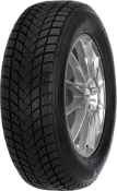Nahaufnahme der Lauffläche Mastersteel WINTER + 195/45 R16 84 H