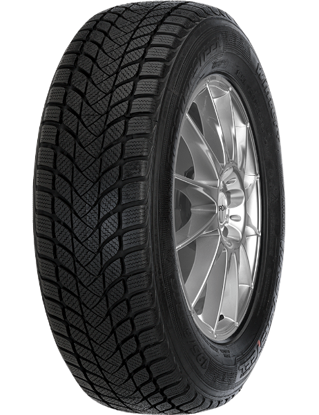 Mastersteel WINTER + 225/55 R17 97 H
