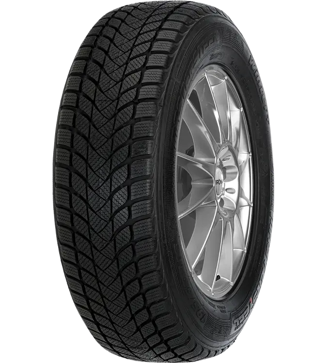 Mastersteel WINTER + 225/55 R17 97 H