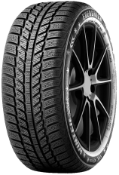 Nahaufnahme der Lauffläche Evergreen EW62 205/60 R16 96 H XL